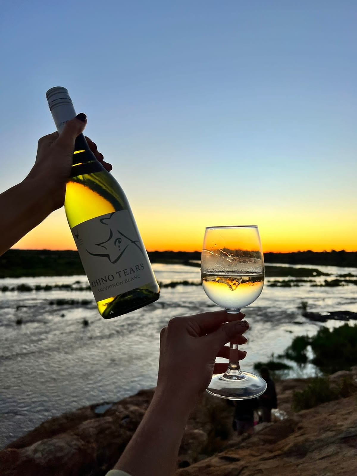 A bottle of Rhino Tears wine and a glass raised against the sunset over water