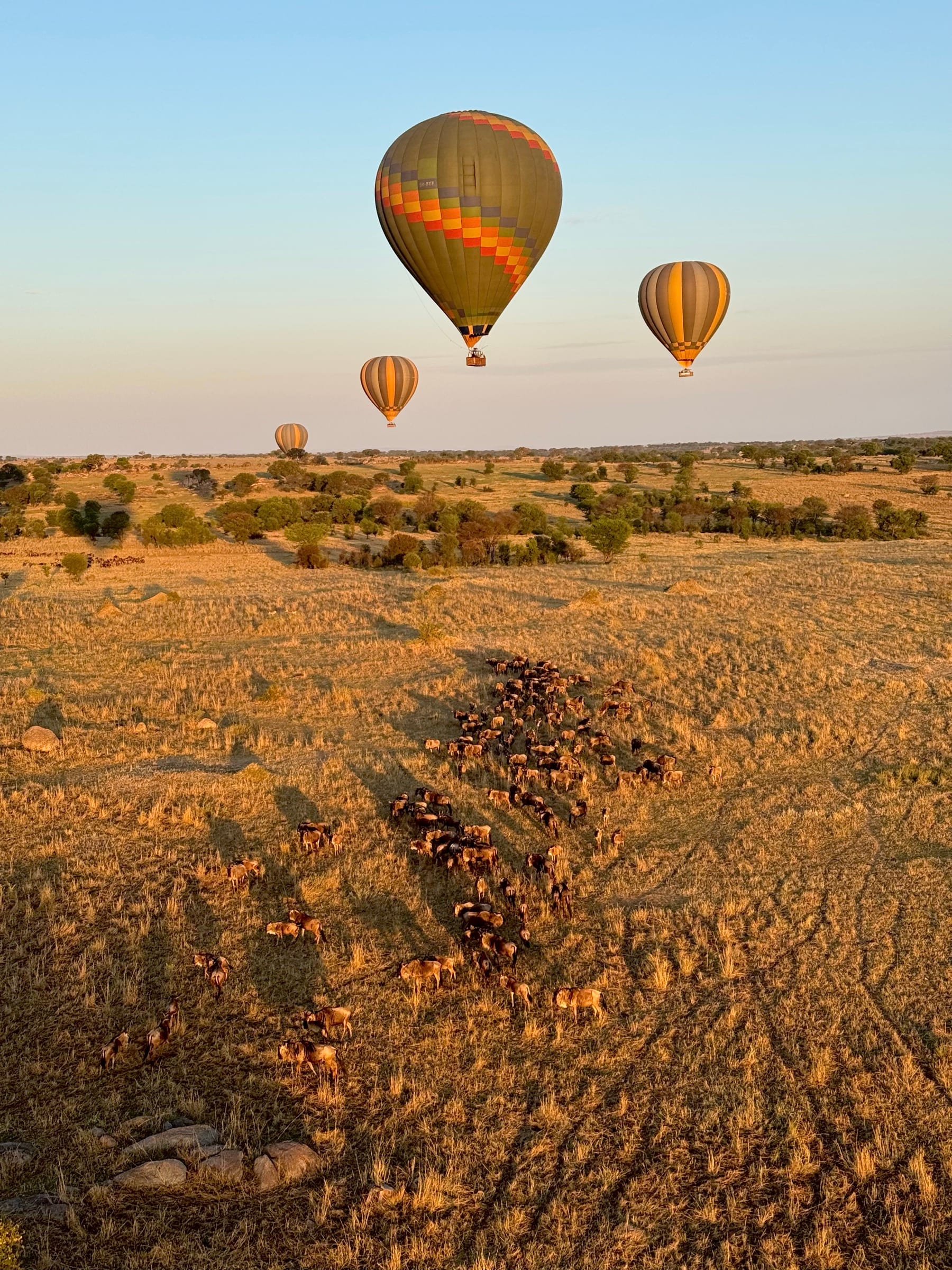 Two hot-air balloons low over the plains at first light