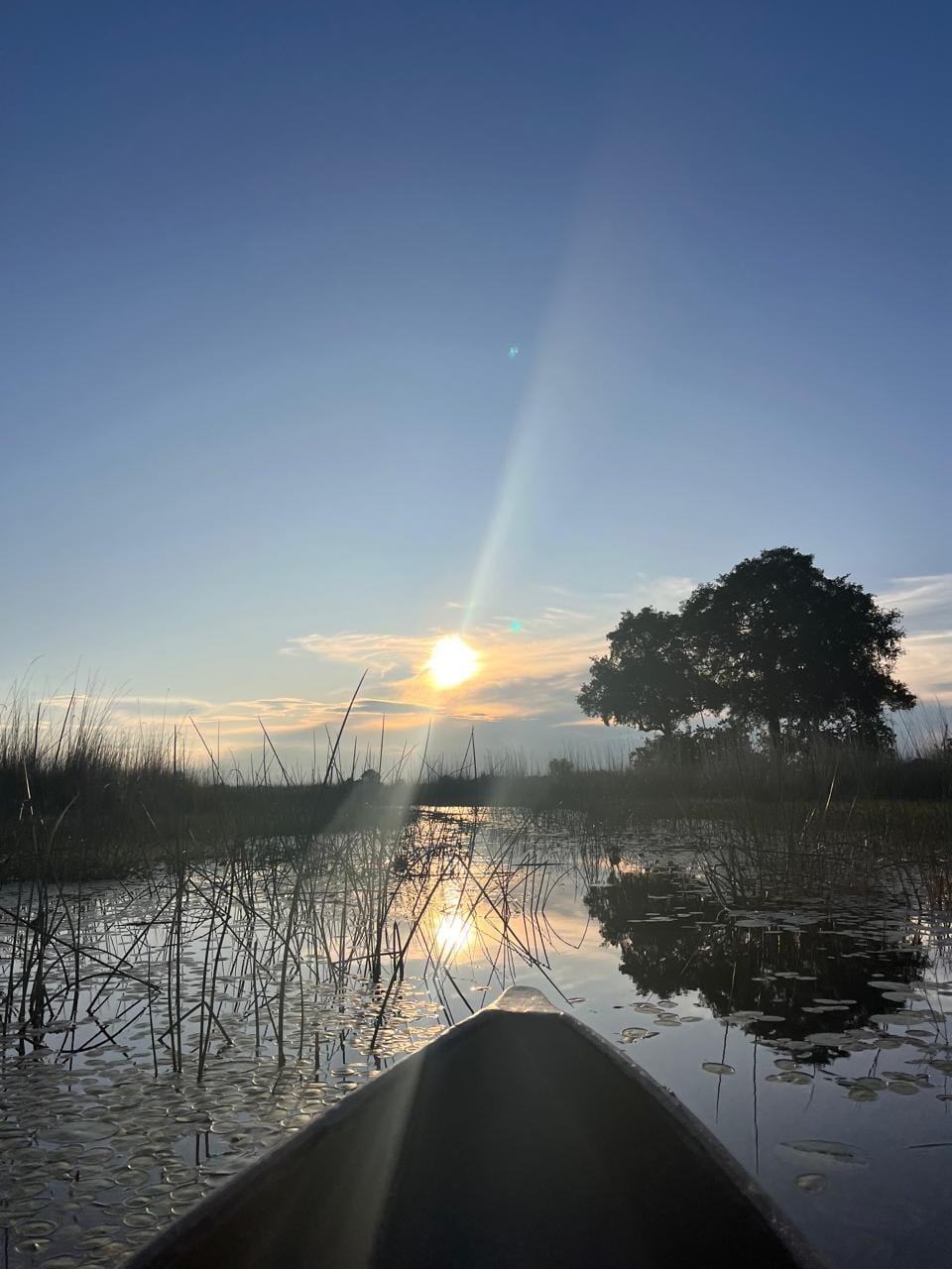 Botswana: A mokoro ride in the Okavango Delta. Desert & Delta Safaris.