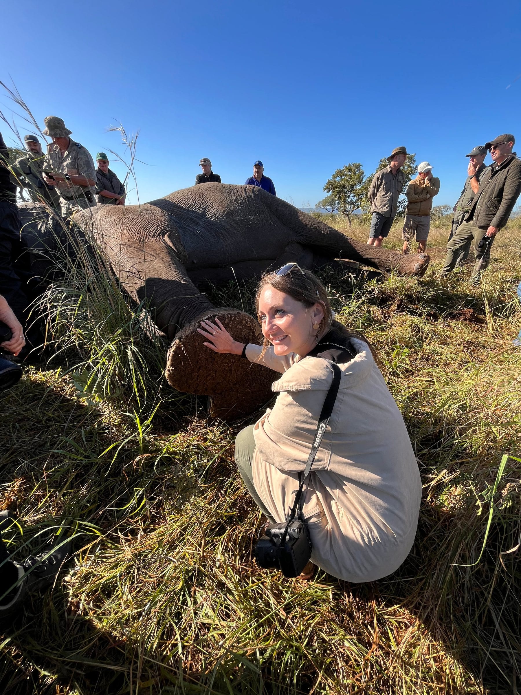 Danielle crouched beside a sedated elephant while a veterinary team works
