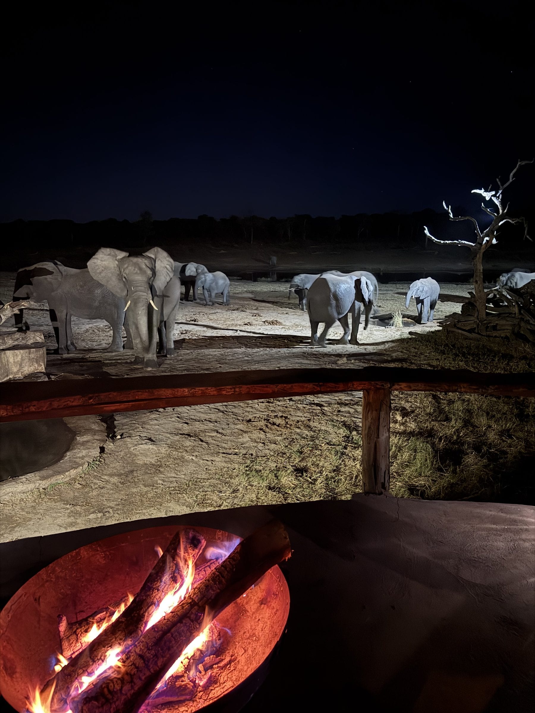 Elephants at a floodlit waterhole at night, a fire burning in the foreground