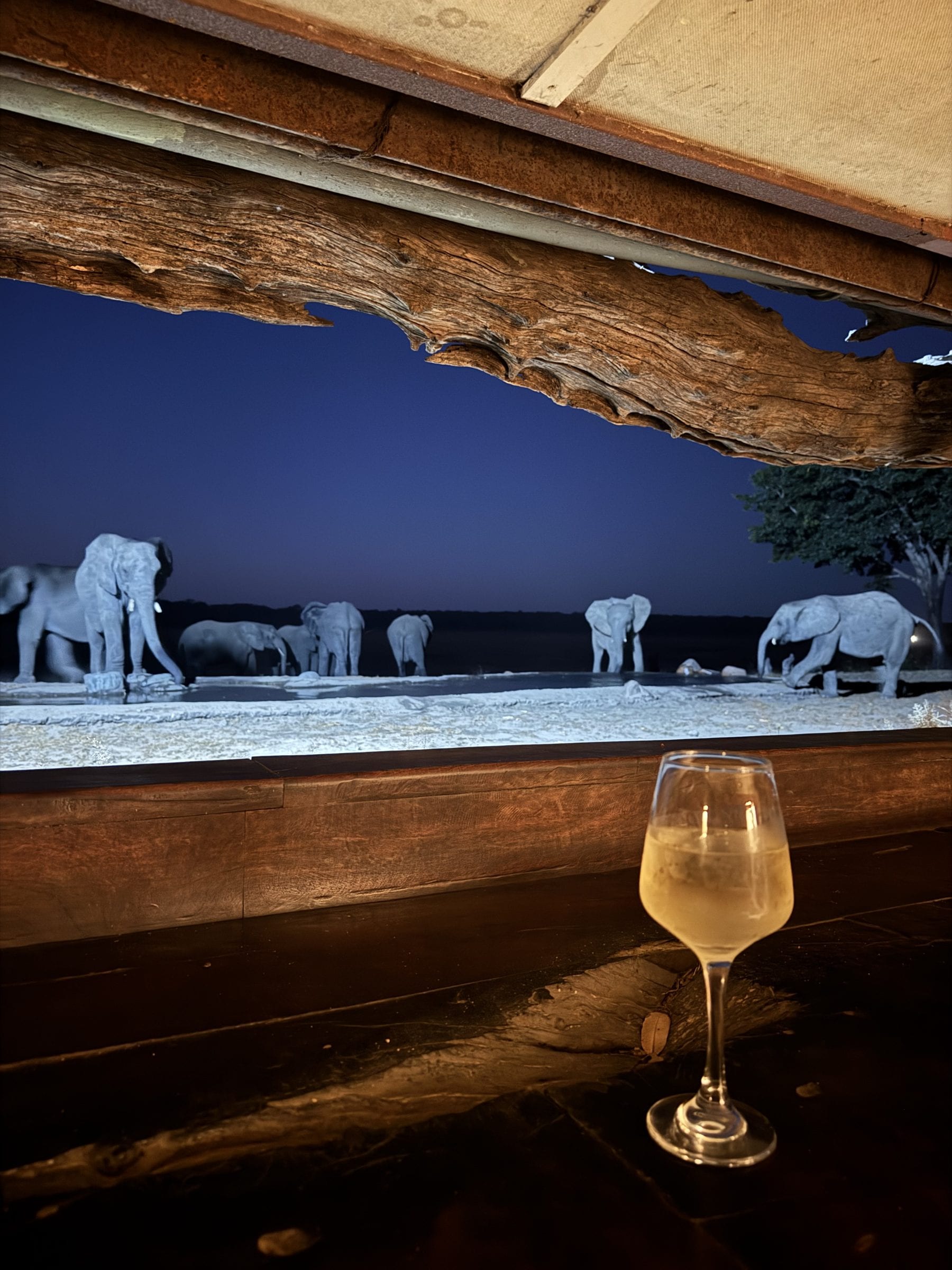 Elephants at a floodlit waterhole at night, seen past a glass of wine on the deck rail