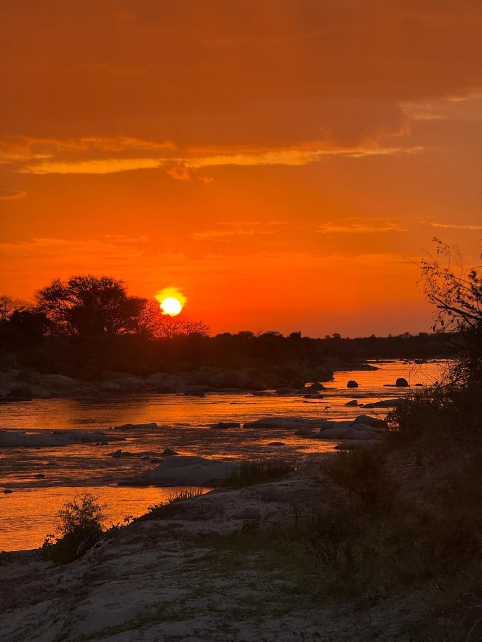 The sun setting red over a rocky river, trees in silhouette