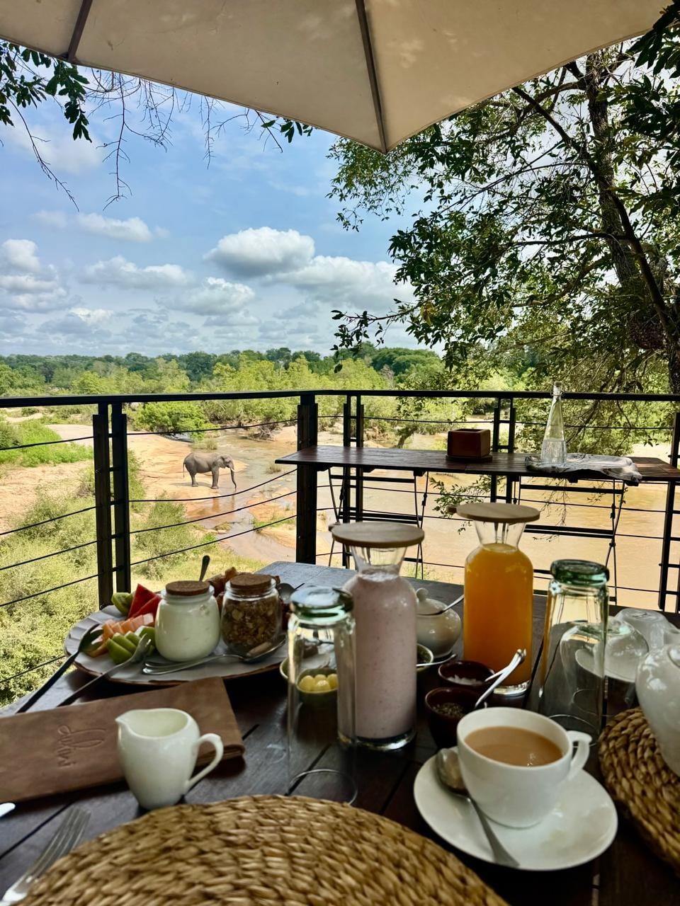 South Africa: Breakfast with a view. Sabi Sand Game Reserve.
