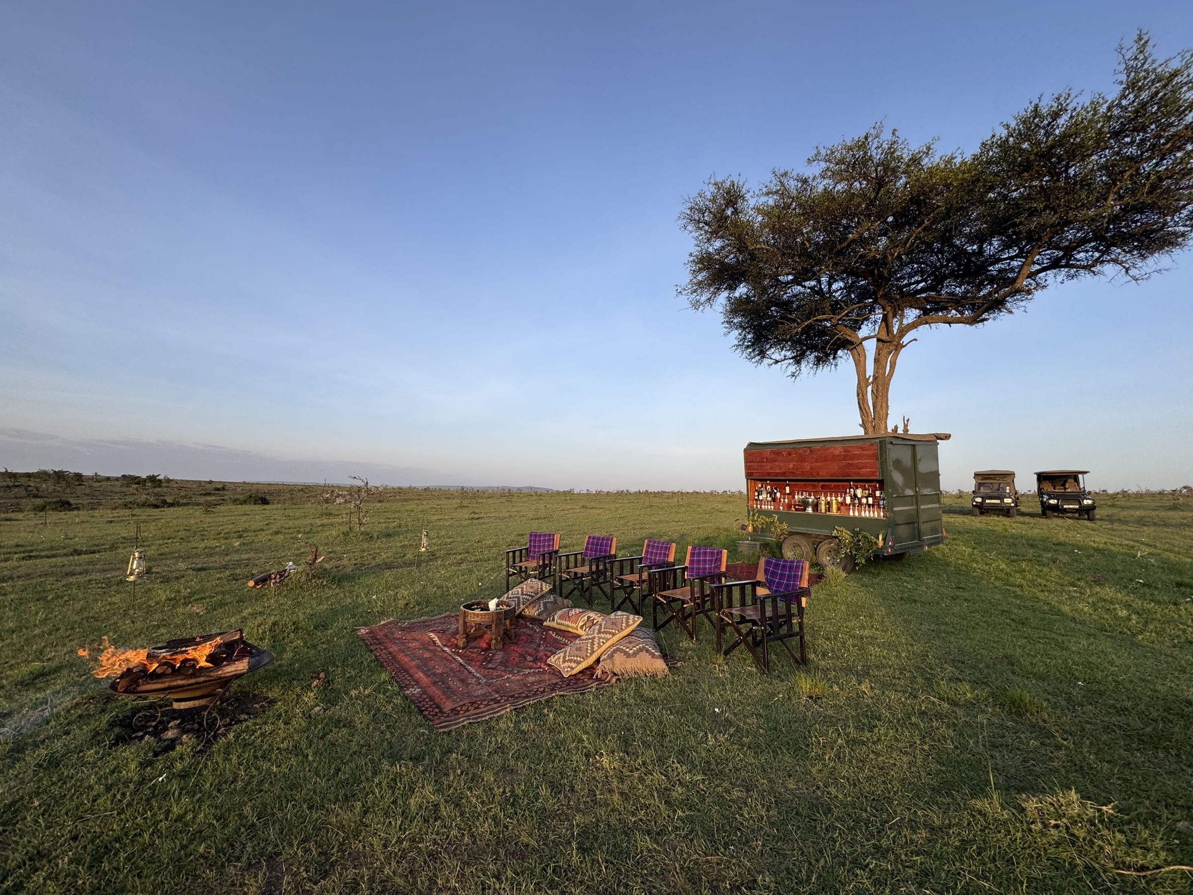 Chairs and lanterns set out under an acacia for sundowners