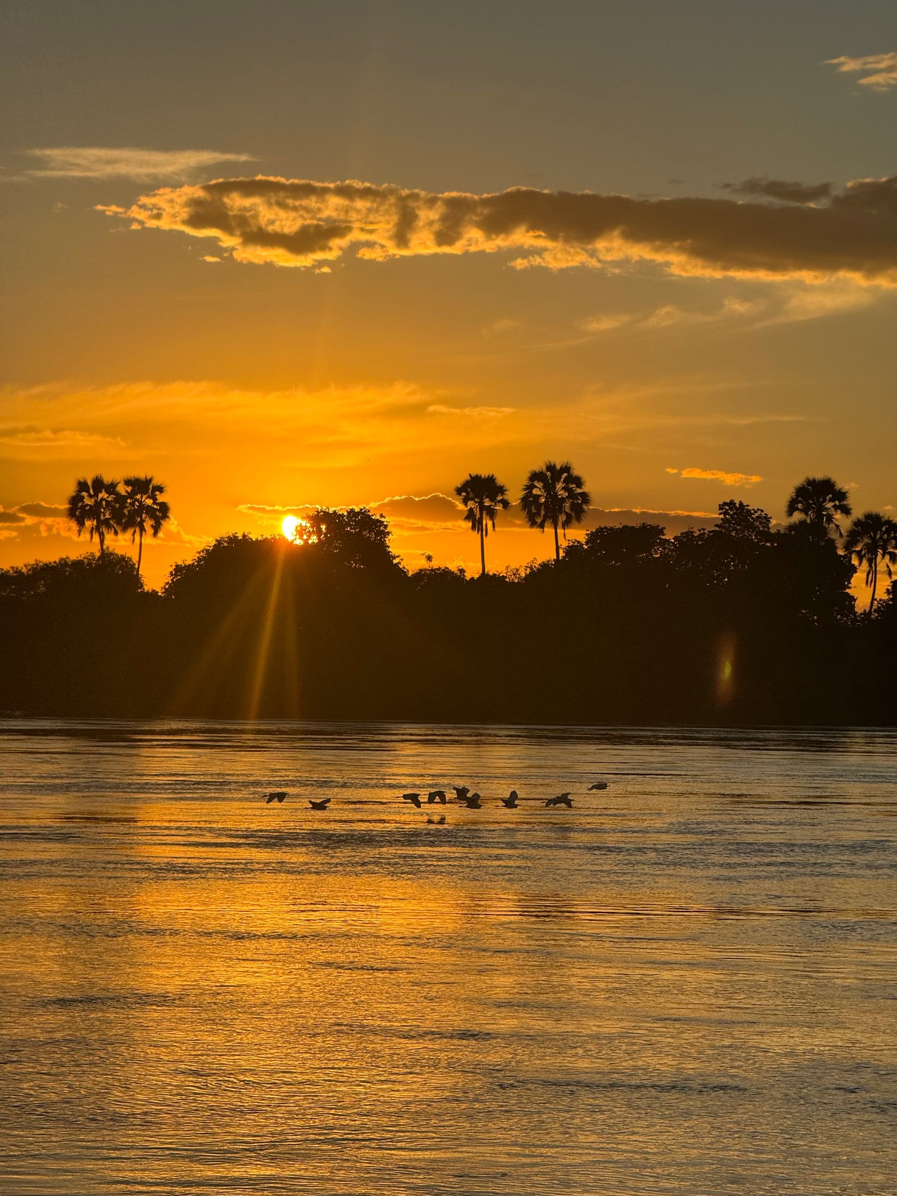 Zambia: Last light on the Zambezi.