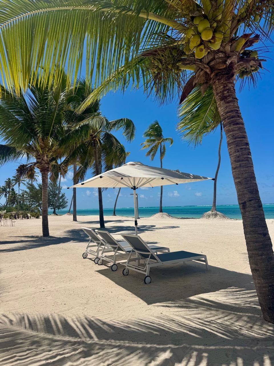 Tanzania: The white sands of Zanzibar.